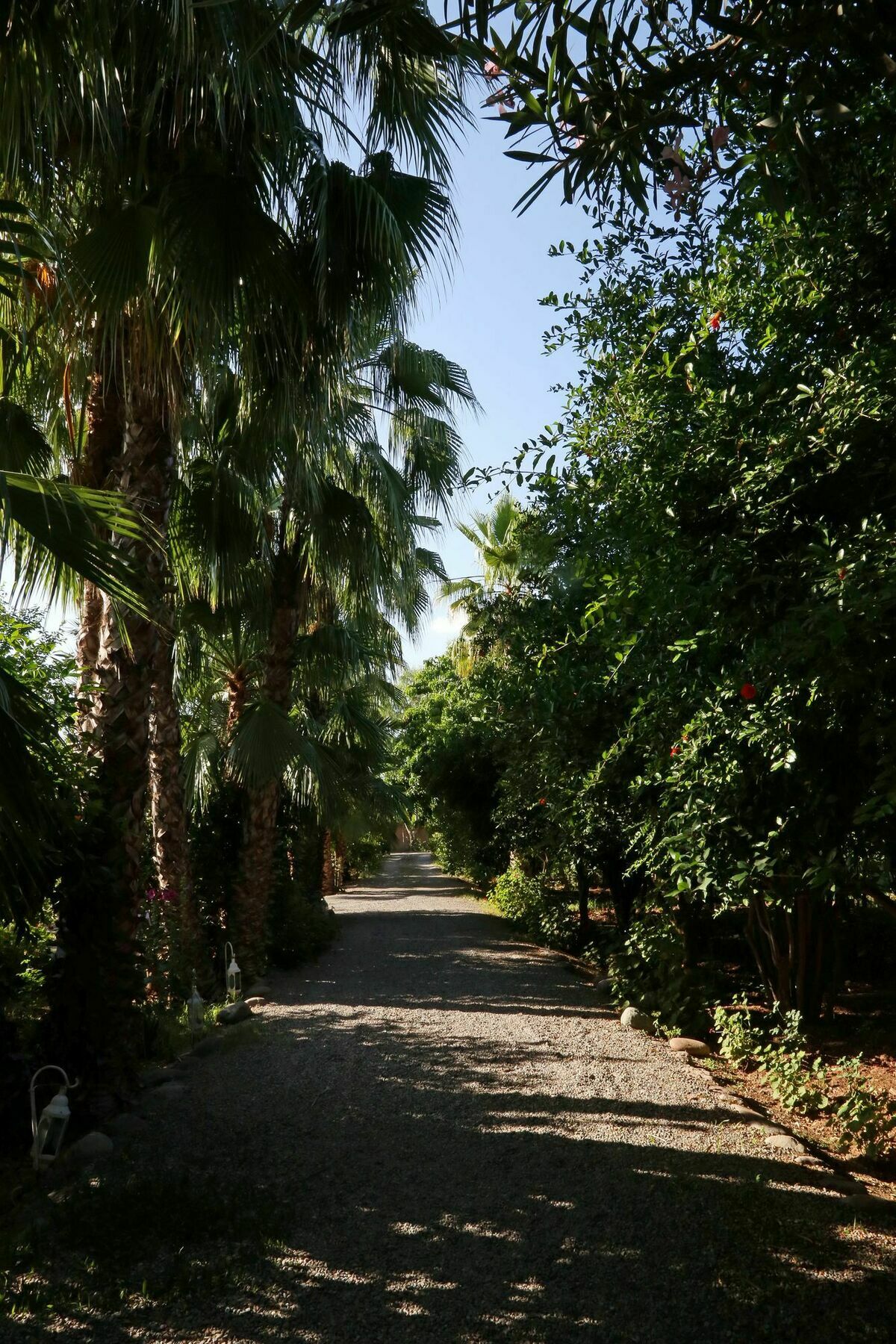 Lahebichate Le Bled Ferme B&B 외부 사진